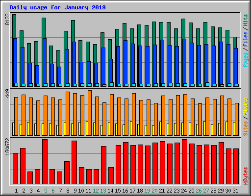 Daily usage for January 2019