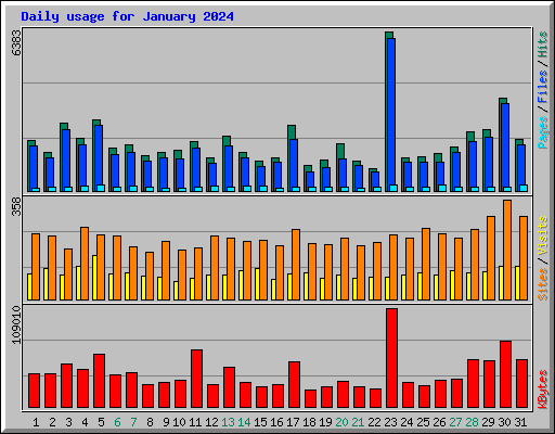 Daily usage for January 2024