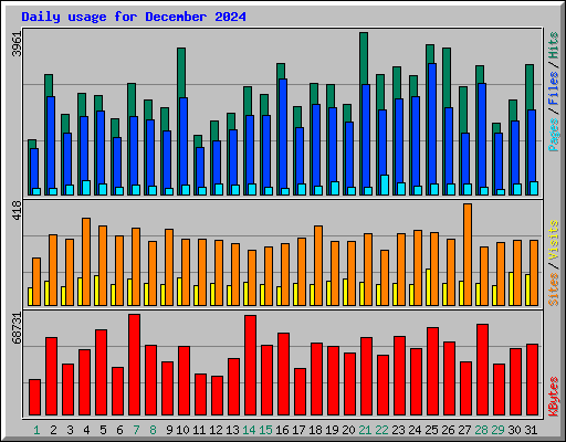 Daily usage for December 2024