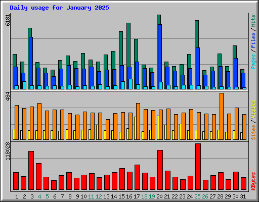 Daily usage for January 2025