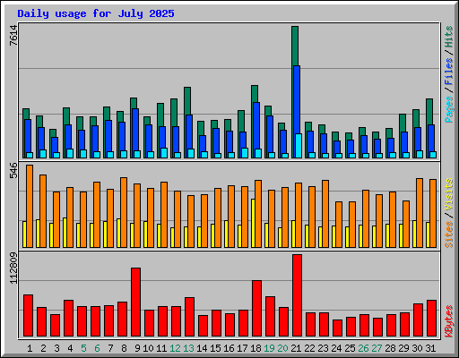 Daily usage for July 2025