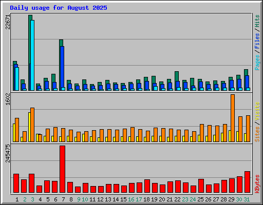 Daily usage for August 2025