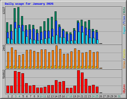Daily usage for January 2026