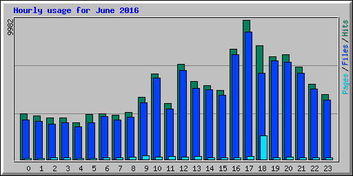 Hourly usage for June 2016