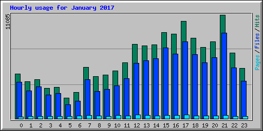 Hourly usage for January 2017