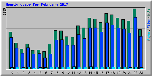 Hourly usage for February 2017