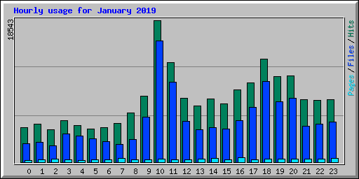Hourly usage for January 2019