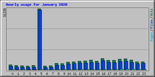 Hourly usage for January 2020
