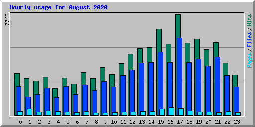 Hourly usage for August 2020