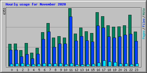 Hourly usage for November 2020