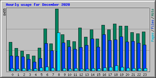 Hourly usage for December 2020