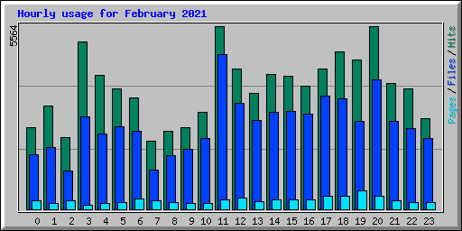 Hourly usage for February 2021