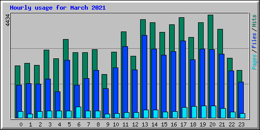 Hourly usage for March 2021