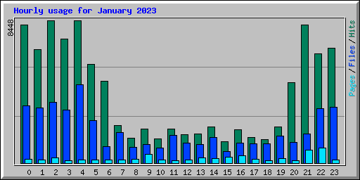 Hourly usage for January 2023