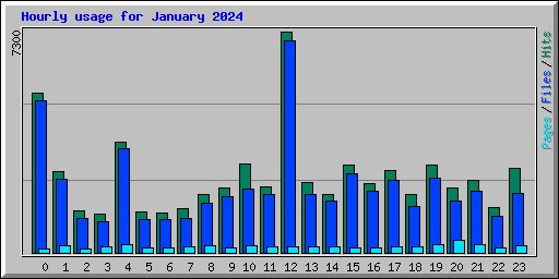 Hourly usage for January 2024