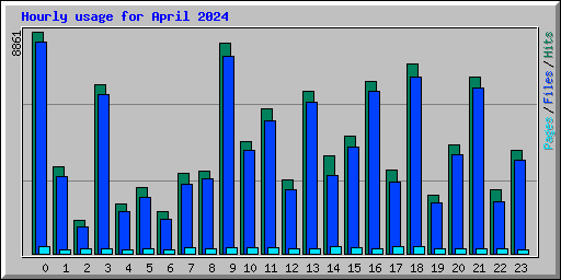 Hourly usage for April 2024