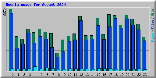 Hourly usage for August 2024