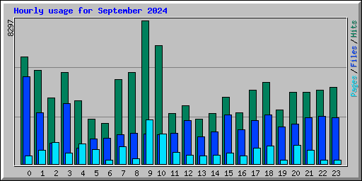 Hourly usage for September 2024