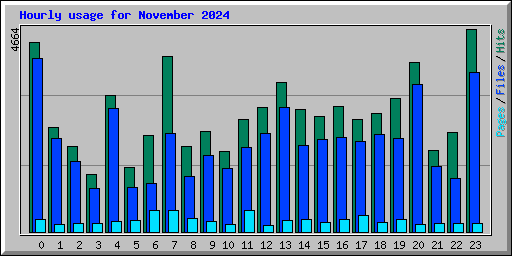 Hourly usage for November 2024