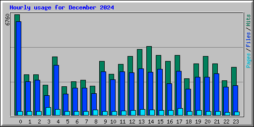 Hourly usage for December 2024