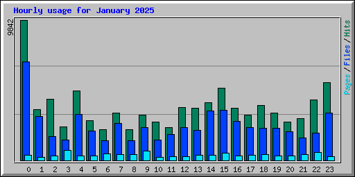 Hourly usage for January 2025