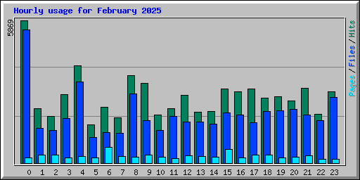 Hourly usage for February 2025
