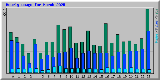 Hourly usage for March 2025