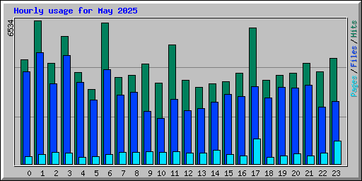 Hourly usage for May 2025