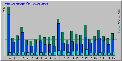 Hourly usage for July 2025