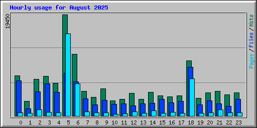 Hourly usage for August 2025