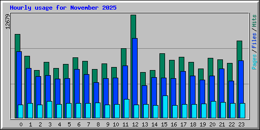 Hourly usage for November 2025