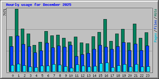 Hourly usage for December 2025