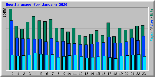 Hourly usage for January 2026
