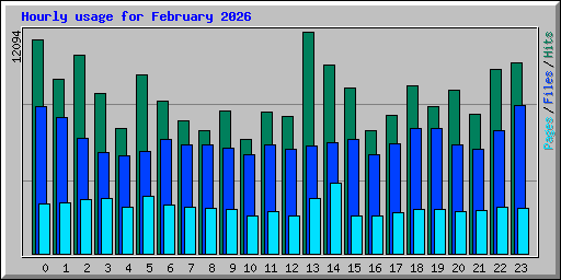 Hourly usage for February 2026