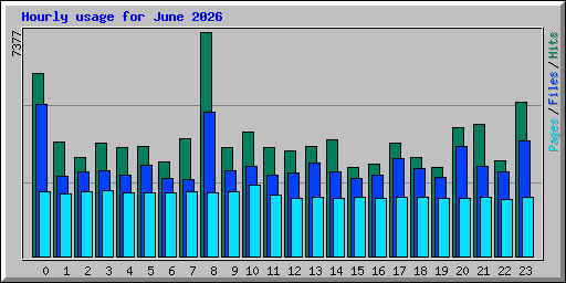 Hourly usage for June 2026